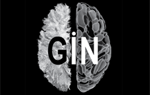 GIN logo